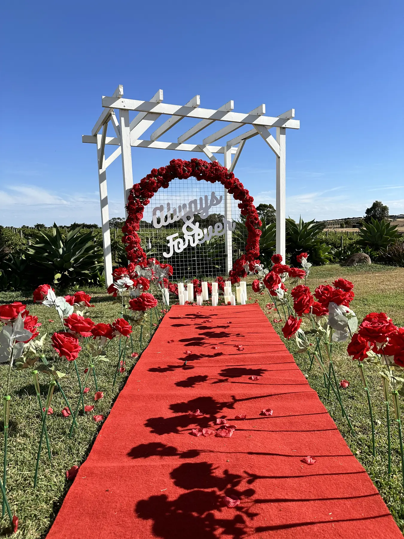 Red carpet lined with roses leading to a rose arch under a white pergola near the water